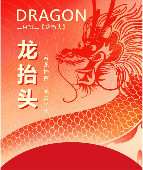 二月二龍?zhí)ь^，春龍振翅鴻運(yùn)啟 —— 佳木斯網(wǎng)云信息科技有限公司與您共迎新春盛景