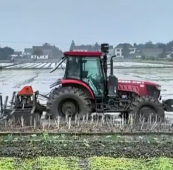 您負(fù)責(zé)統(tǒng)籌全局，它負(fù)責(zé)腳踏實(shí)地