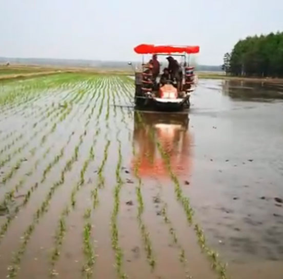 陳滿茹農(nóng)機(jī)